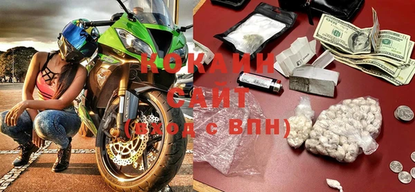 гидра Богданович