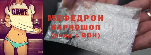 мдпв Бородино
