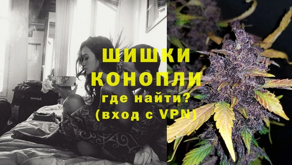 мдпв Бородино
