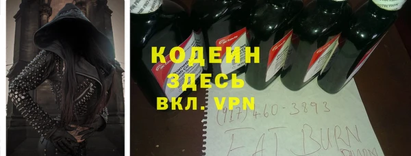 ГАЛЛЮЦИНОГЕННЫЕ ГРИБЫ Верея