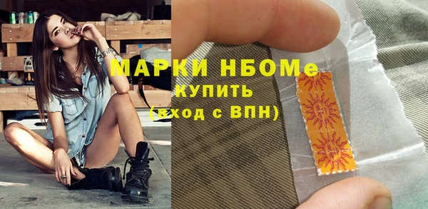 мдпв Бородино
