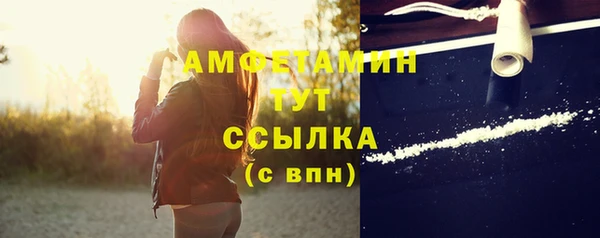 мдпв Бородино