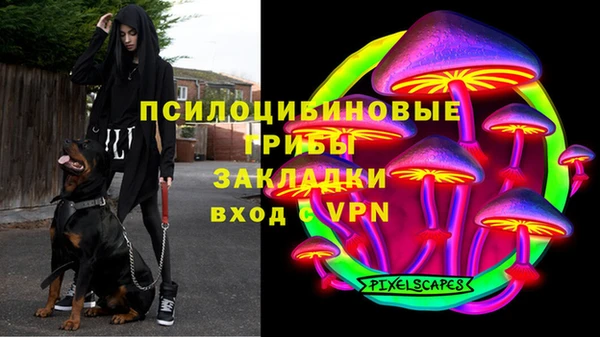 ГАЛЛЮЦИНОГЕННЫЕ ГРИБЫ Верея