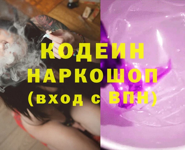 ГАЛЛЮЦИНОГЕННЫЕ ГРИБЫ Верея