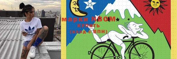 ГАЛЛЮЦИНОГЕННЫЕ ГРИБЫ Верея