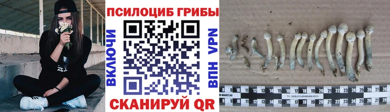 как найти закладки  Искитим  Псилоцибиновые грибы мухоморы 